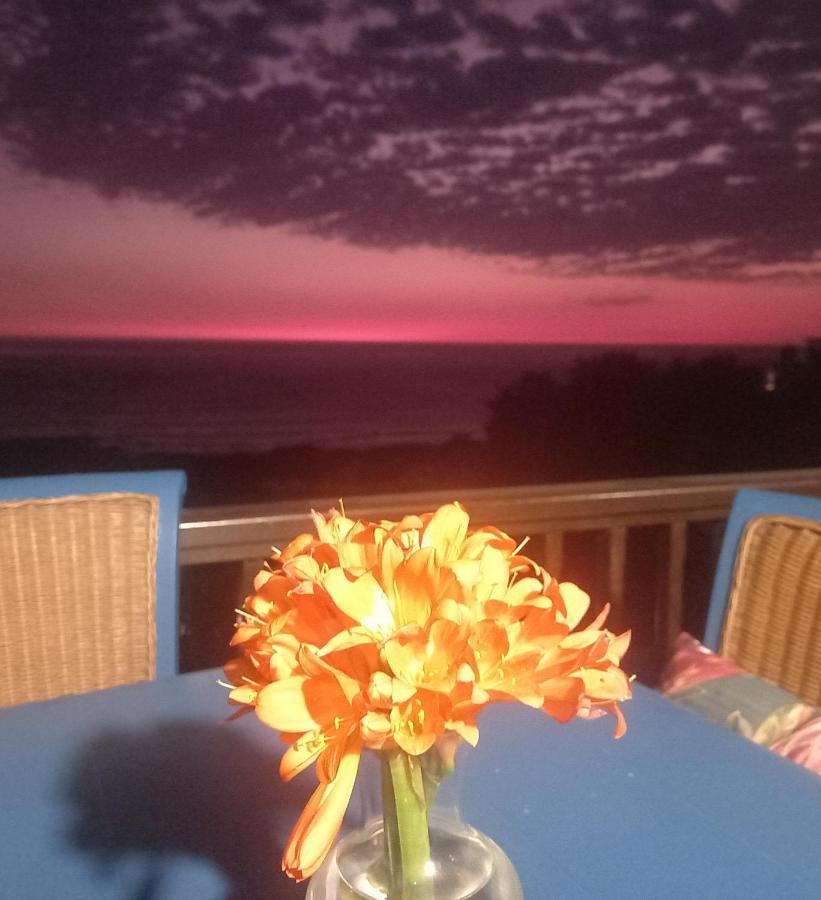 Mussel Beach Holiday Lets Apartment Cape Town Bagian luar foto